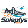 放大的 Soleplys 主标志
